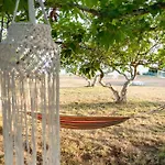 Anestaki By The Sea *