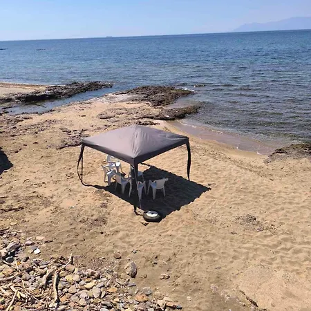 Anestaki By The Sea