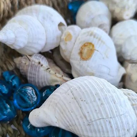 Anestaki By The Sea * Mesimvria (Evros)